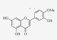 香叶木素 CAS：520-34-3