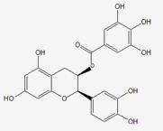 表儿茶素没食子酸酯 CAS：1257-08-5