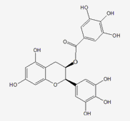 表没食子儿茶素没食子酸酯 CAS：989-51-5