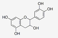 表儿茶素 CAS：490-46-0