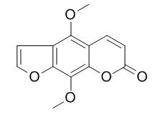 异茴芹内酯 CAS：482-27-9