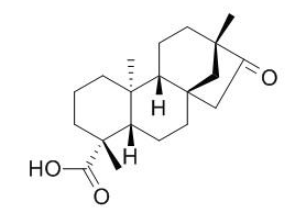 异甜菊醇 CAS：27975-19-5