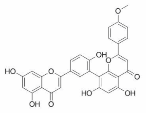 竹柏双黄酮 A供应 CAS：22136-74-9