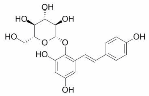 2,3,5,4’-四羟基二苯乙烯葡萄糖苷 CAS：82373-94-2