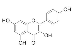 山萘酚 CAS：520-18-3