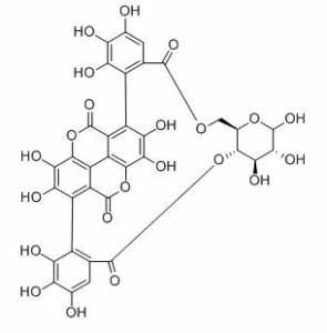 石榴皮鞣素 CAS：65995-64-4