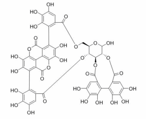 安石榴甙 CAS：65995-63-3