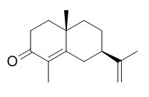 α-香附酮 CAS：473-08-5