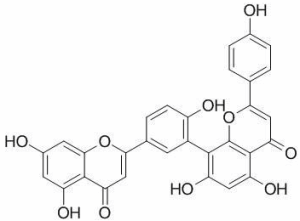 穗花杉双黄酮 CAS：1617-53-4