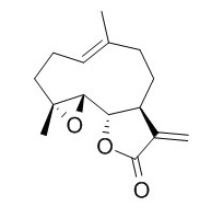 小白菊内酯 CAS：20554-84-1