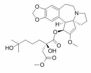 高三尖杉酯碱 CAS：26833-87-4