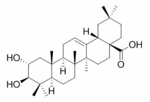 山楂酸 CAS：4373-41-5