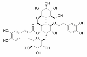 松果菊苷 CAS：82854-37-3