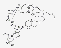 人参皂苷Ra3供应 CAS：90985-77-6