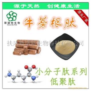 牛蒡根肽 牛蒡根多肽 牛蒡根低聚肽 OEM代工