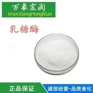 乳糖酶β-半乳糖苷酶蛋白质水解处理天然健康酶制剂生产价格