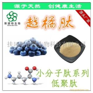 越橘肽粉 越橘小分子肽 越橘提取物 一站式供应