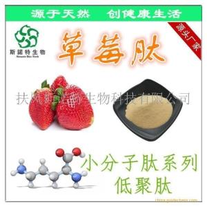 草莓肽粉 草莓小分子肽 一站式供应