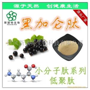 黑加仑肽粉 黑加仑小分子肽 黑加仑提取物 现货供应
