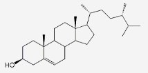 菜油甾醇，474-62-4