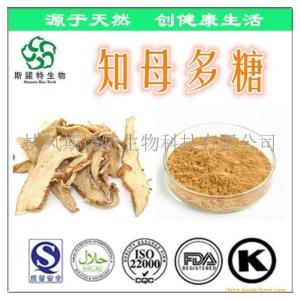 知母多糖30% 知母提取物 知母多糖 规格可定制