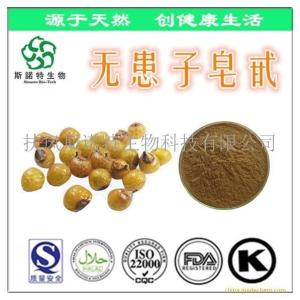 无患子皂甙40% 无患子提取物 *原料 现货供应 