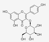 紫云英苷 CAS：480-10-4