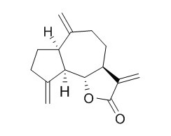 去氢木香内酯 CAS：477-43-0