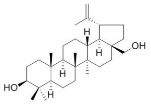 白桦脂醇 CAS：473-98-3