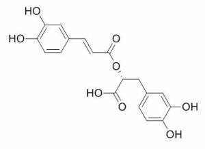 迷迭香酸 CAS：20283-92-5