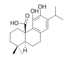 鼠尾草酸 CAS：3650-09-7