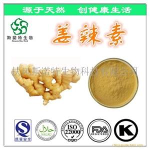 姜辣素5% 生姜提取物 现货供应
