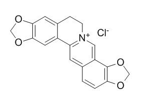 盐酸黄连碱 CAS：6020-18-4