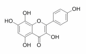 漆黄素 CAS：528-48-3