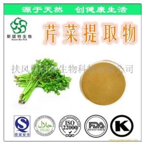 芹菜提取物 10:1浓缩芹菜粉 扶风供应