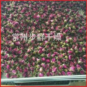 玫瑰花热风循环烘箱