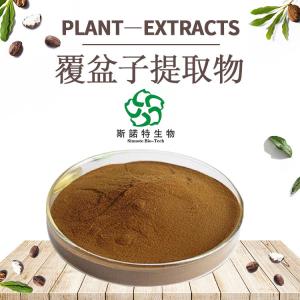 覆盆子提取物 20:1高比例树莓提取物 覆盆子粉