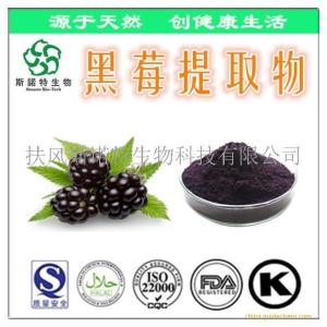 黑莓提取物速溶粉 黑莓提取物  格