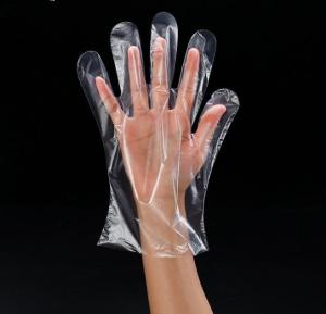 一次性PE手套 产品图片