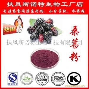 第三代水果粉-桑葚粉 桑葚果粉 扶风斯诺特生产供应