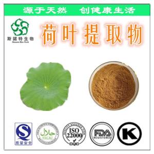 荷叶提取物 30:1荷叶粉 水溶性荷叶碱 荷叶黄铜
