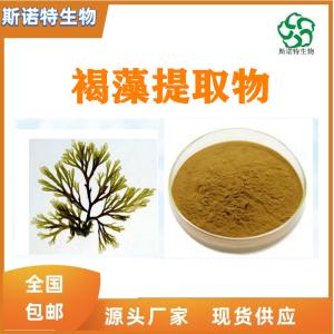 褐藻浓缩粉30:1  褐藻提取物 供应