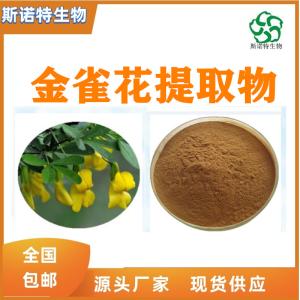金雀花浓缩粉 金雀花提取物  新资源食品原料 SC供应