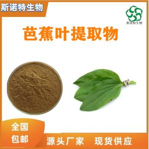 芭蕉叶提取物 芭蕉叶粉 水溶性粉 无沉淀 供应