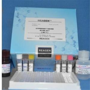 甲状腺球蛋白（TG检测）elisa试剂盒 产品图片