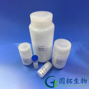 PNC-27肽,PNC27 peptide