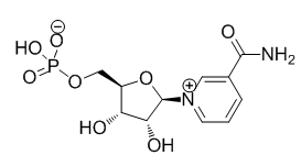 β-烟酰胺单核苷酸NMN (1094-61-7) 现货