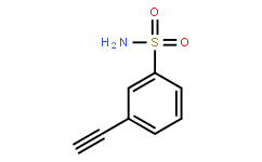 3-炔基苯磺酰胺 CAS号:1310456-99-5 现货优势供应 科研产品