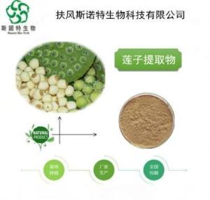 莲子提取物30:1   供应  莲子提取物   全水溶 