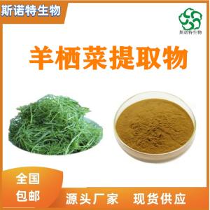 羊栖菜提取物10:1  供应 1KG起订